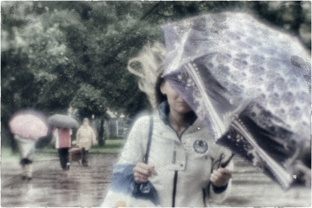 Rain